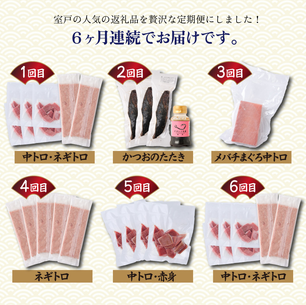 【 全6回定期便 】 厳選 高知の海鮮セット 本まぐろ かつおのたたき ネギトロ 海鮮 魚介 魚 福袋 定期便 詰め合わせ 食べ比べ 贅沢