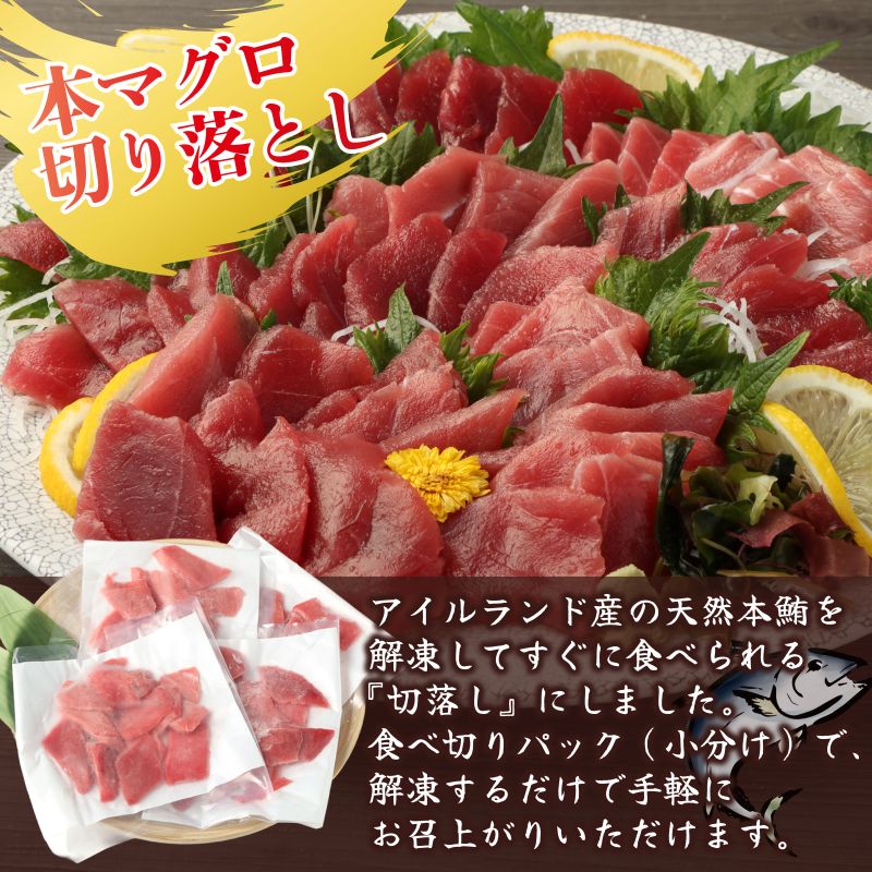 【 全2回定期便 】本マグロ と カツオ の 定期便 海鮮 鮪 鰹 定期 セット まぐろ カツオのたたき 本マグロ 中トロ 赤身 刺身 海鮮 鰹 小分け 冷凍 魚 海産物 魚介類 高知県 まぐろたたき 鮪 藁焼き わら焼き タカシン定期便 海鮮定期便 頒布会