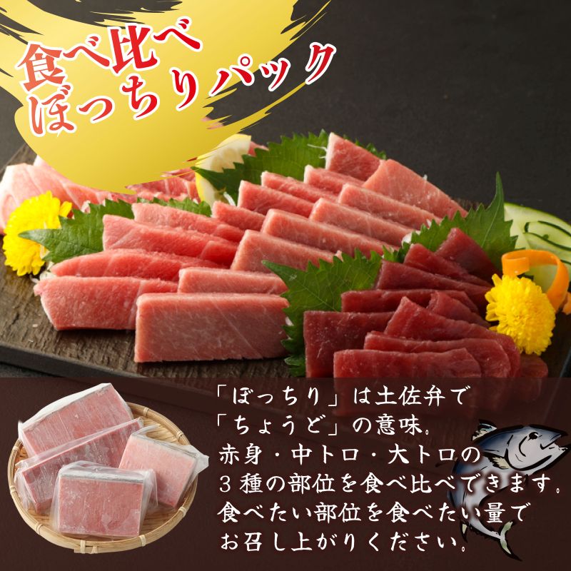 【 全2回定期便 】海鮮 食べ比べ セット 鮪 鰹 定期 セット まぐろ カツオのたたき 本マグロ 中トロ 赤身 刺身 海鮮 鰹 切り落とし 冷凍 海産物 魚介類 高知県 まぐろたたき 鮪 藁焼き わら焼き タカシン定期便 海鮮定期便 頒布会