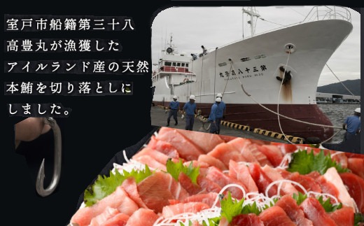 【 3回定期便 】 天然本マグロ 中トロ 赤身 切り落とし 200g 小分け(100g×2パック) 訳あり マグロ 刺身 カルパッチョ まぐろ丼 まぐろ漬け丼 魚 惣菜 海鮮丼 魚介類 食べきりサイズ 父の日 冷凍 不揃い クロマグロ 黒マグロ