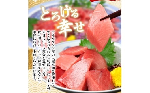 天然本マグロ 中とろ 赤身 切り落とし 800g 小分け(100g×8パック) 訳あり マグロ 刺身 カルパッチョ まぐろ丼 まぐろ漬け丼 魚 惣菜 海鮮丼 魚介類 食べきりサイズ 冷凍 不揃い