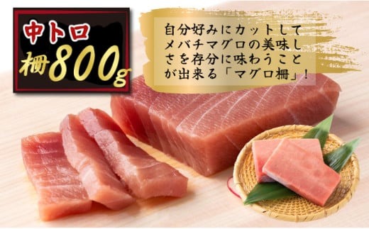 天然メバチマグロ 【 中トロ 】800ｇ（柵） メバチマグロ めばちまぐろ めばち メバチ まぐろ マグロ 鮪 サク 柵 中トロ 天然 天然まぐろ 天然マグロ 刺身 お刺身 食べ比べ 海鮮丼 丼 魚 さかな 新鮮 高知 室戸 冷凍 小分け 海鮮