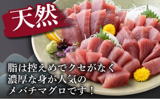 【 6回定期便 】訳あり 天然メバチマグロ 約1.3kg  (不揃い柵) メバチマグロ めばちまぐろ めばち メバチ まぐろ マグロ 赤身 鮪 サク 柵 中トロ 天然 天然まぐろ 天然マグロ 刺身 あかみ お刺身 食べ比べ 海鮮丼 丼 魚 さかな 新鮮 高知 室戸 冷凍 小分け 海鮮