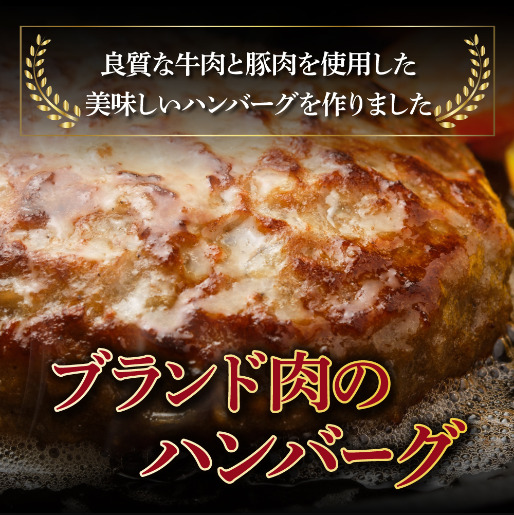 温めるだけ！土佐あかうしと四万十ポークのハンバーグ　５個セット