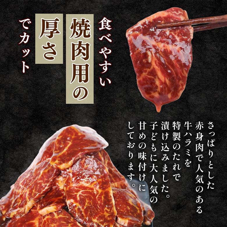自家製 牛ハラミ たれ漬け 200g×4パック 計800g 訳あり 数量限定 牛肉 焼肉 焼き肉 BBQ バーベキュー ハラミ肉 タレ漬けハラミ 小分け 【(有)山重食肉】（室戸海洋深層水塩使用）
