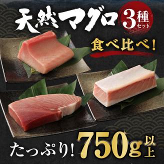 【室戸市】 厳選 天然 マグロ 3種 ミナミ メバチ ビンチョウ 750g