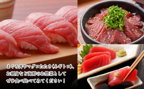 天然本マグロ　中トロ　１柵（２００ｇ）