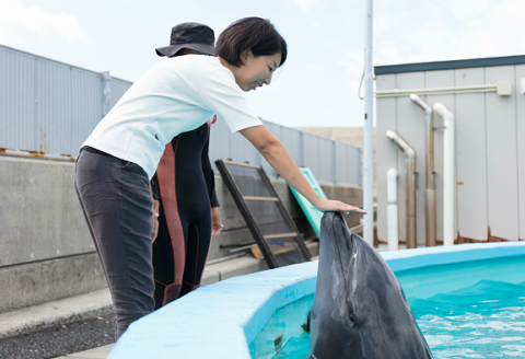 トレーナー体験３名（中学生以上）
