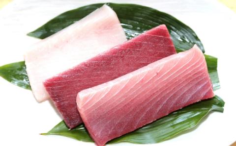 こだわりの天然ミナミマグロビントロセット　ミナミマグロ中トロ赤身各1柵　 ビントロ1柵