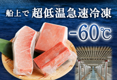 【室戸市】 厳選 天然 本マグロ 大トロ 中トロ 赤身 600g