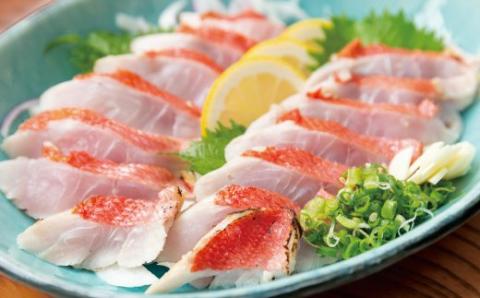 室戸のうまいもん！初音の定期便！年６回お届け【偶数コース】