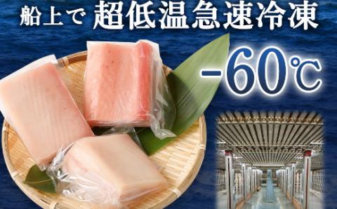 【室戸市】 厳選 トロビンチョウ 鮪 500g