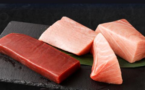 【室戸市】 厳選 天然 本マグロ 中トロ 赤身 600g