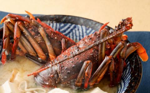 漁師からのうまいもん定期便【年10回コース】 海鮮 魚 刺身 マグロ カツオ 刺身 さしみ 鮪 鰹 伊勢海老 魚介 魚貝 人気