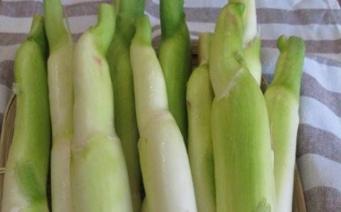 【期間限定・先行予約】マコモダケ 1kg