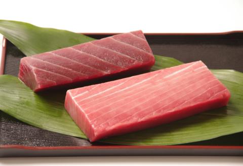 天然本マグロ　中トロ２柵　赤身１柵　（計６００ｇ）