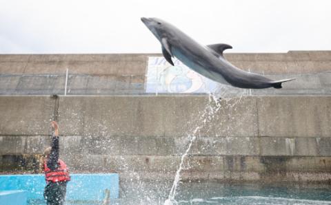 浅瀬ふれあい体験１名（中学生以上）