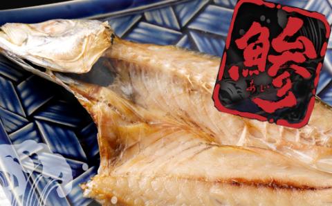 トロ鯵の干物セット定期便【全６回】