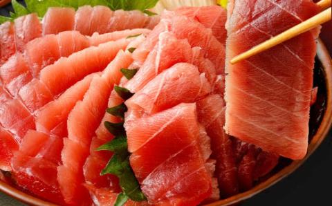 【３回定期便】天然本マグロ　中トロ　１柵　解凍書付 海鮮 魚介 鮪 惣菜 冷凍 クロマグロ