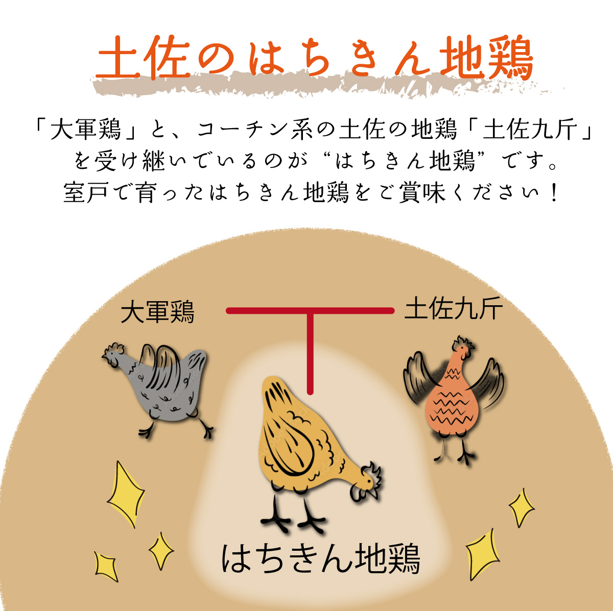 土佐はちきん地鶏の鶏しゃぶ＆鶏鍋堪能セット