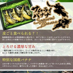 高知県産 侍バナナ｜無農薬・国産・農家直送 手のひらサイズ 3本 贈答用 訳あり 冷凍バナナ フルーツ 果物 ギフト 冷凍フルーツ バナナ サムライ スムージー 贈答用 3本(￥25,000)