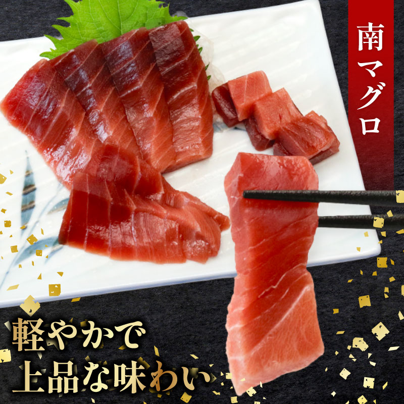 【６回定期便】天然本マグロ 天然南マグロ 中トロ 各1柵 奇数月  まぐろ 鮪 鮮魚 刺身 寿司 高級 食べ比べ