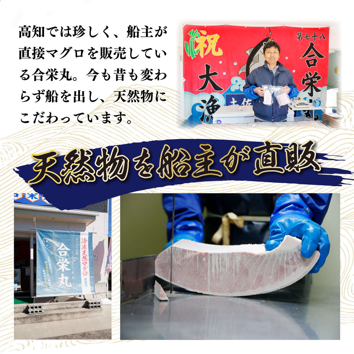 【室戸市】 厳選 天然 南マグロ 赤身 中トロ 大トロ 650g