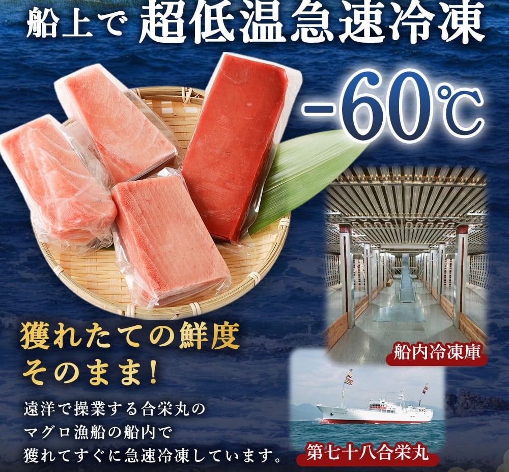 厳選 天然 本マグロ 中トロ・赤身 食べ比べセット 約600g | 中トロ 約200g 赤身 約400g | 本鮪 本まぐろ クロマグロ 魚 惣菜 まぐろ ワケアリ わけあり 訳あり 中とろ あかみ 刺身 さしみ 刺し身 冷凍 漬け 海鮮 丼 父の日 高知県 室戸市