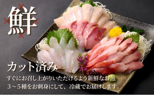 ほんとにおいしい！室戸のお刺身　３～５種盛り合わせお楽しみセット2人前 刺身 刺身盛り合わせ 旬の鮮魚 高知県産 鮮魚 海鮮丼 漬け丼 寿司 惣菜 10000円