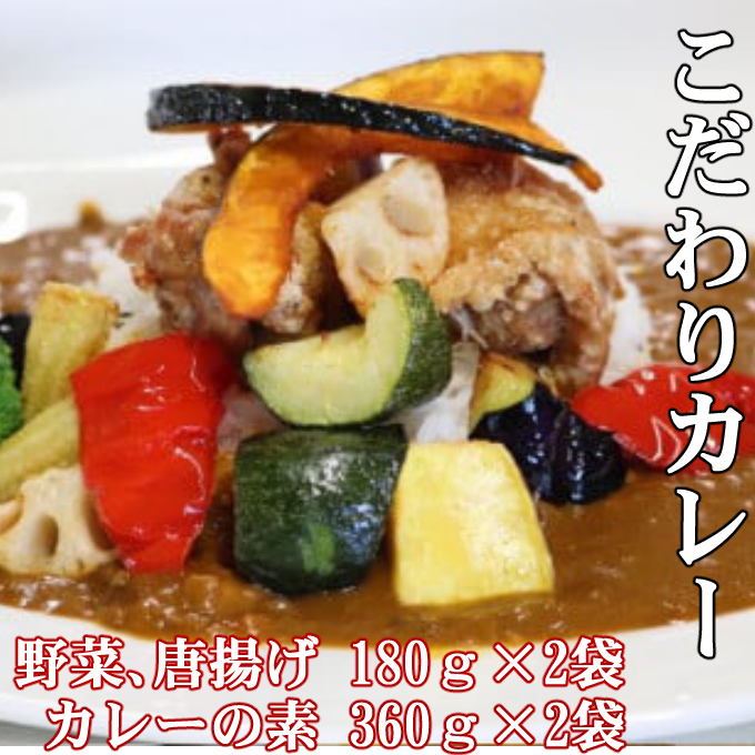 【ANA限定】海土がお届けする定期便(４回発送コース) かつおのたたき 鰹 カツオ カレー たんたん麺 担々?