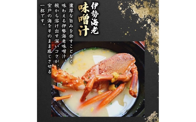 活 伊勢海老 訳あり 1kg(3～5匹) 冷蔵 – 活き伊勢海老 訳あり 室戸産 国産 エビ えび 海鮮 魚介 産地直送 プリプリ 味噌汁 刺身 焼き物 汁物 室戸海洋深層水 黒潮 高知県 室戸市