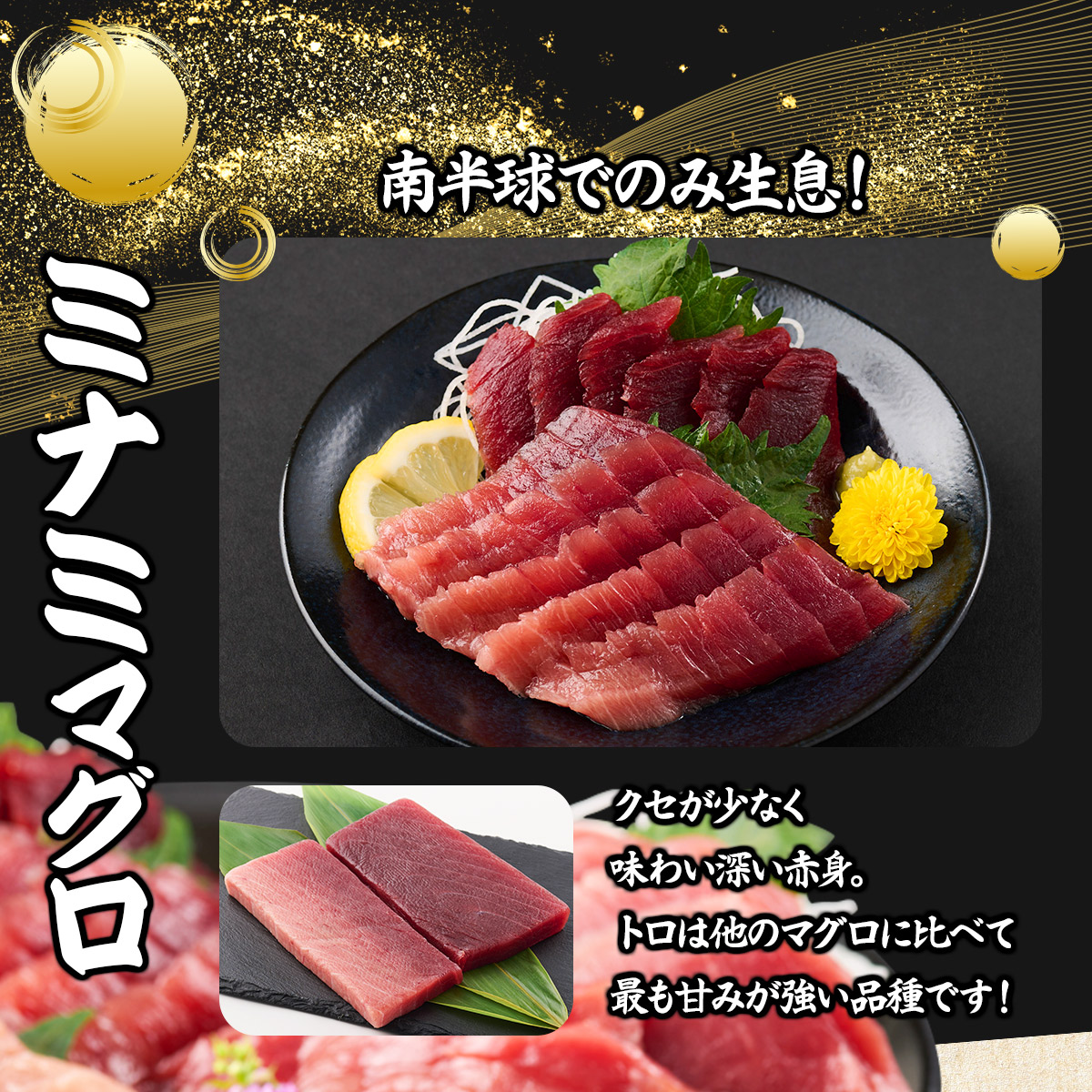 厳選ミナミマグロ赤身、中トロ食べくらべ【誉丸】