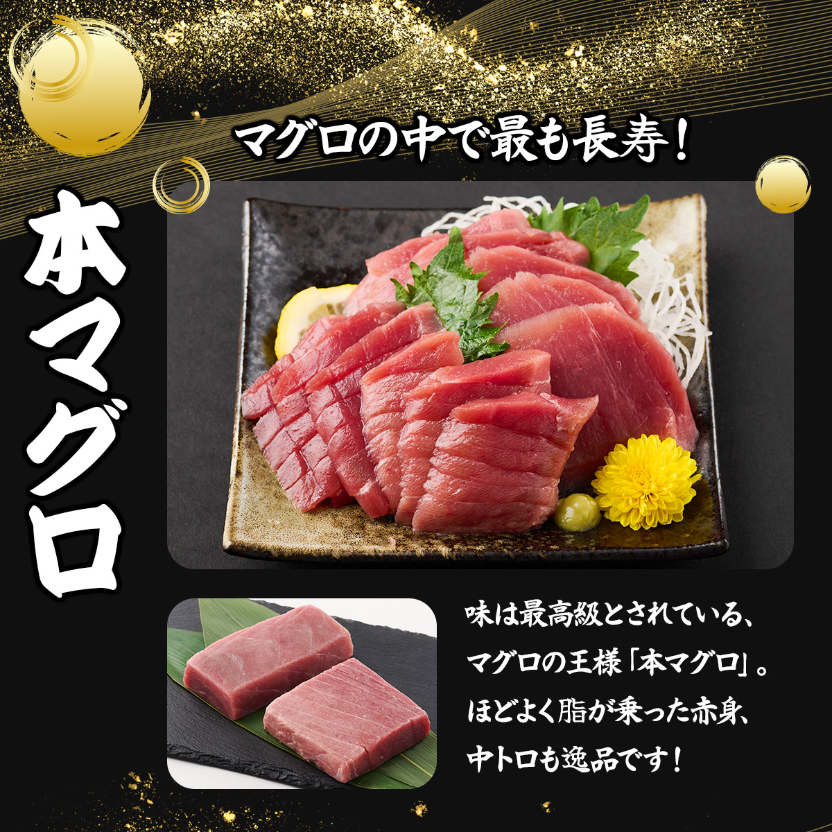 厳選本マグロ赤身、中トロ食べくらべ【誉丸】