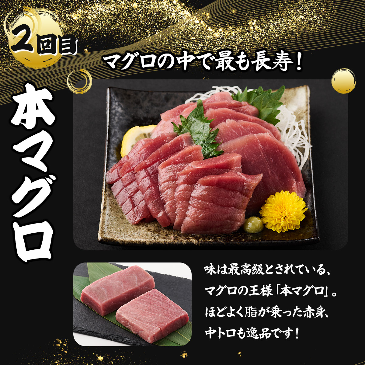 室戸屋誉丸の厳選マグロ（赤身・中トロ）を定期便で食べ比べ！【３回お届け】