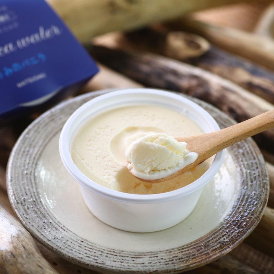 贈答に◎ 室戸の塩バニラアイス｜最中＆カップ詰合せ9個入