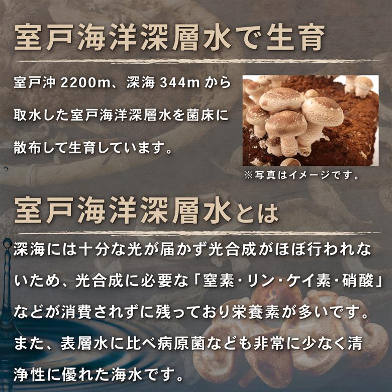 干し椎茸　１０袋　計３００ｇ