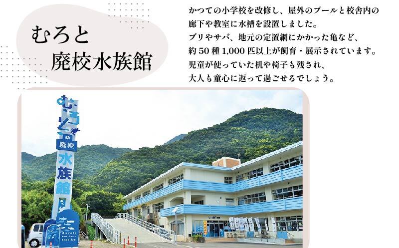 松翁にごり酒720ml｜室戸海洋深層水仕込みの甘口日本酒｜女性に人気・飲みやすい濁り酒｜高知県室戸市ふるさと納税