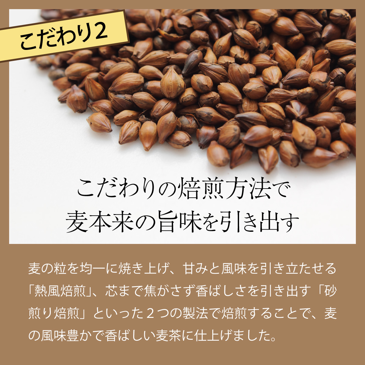 おいしい麦茶600ml×24本【年6回定期便】