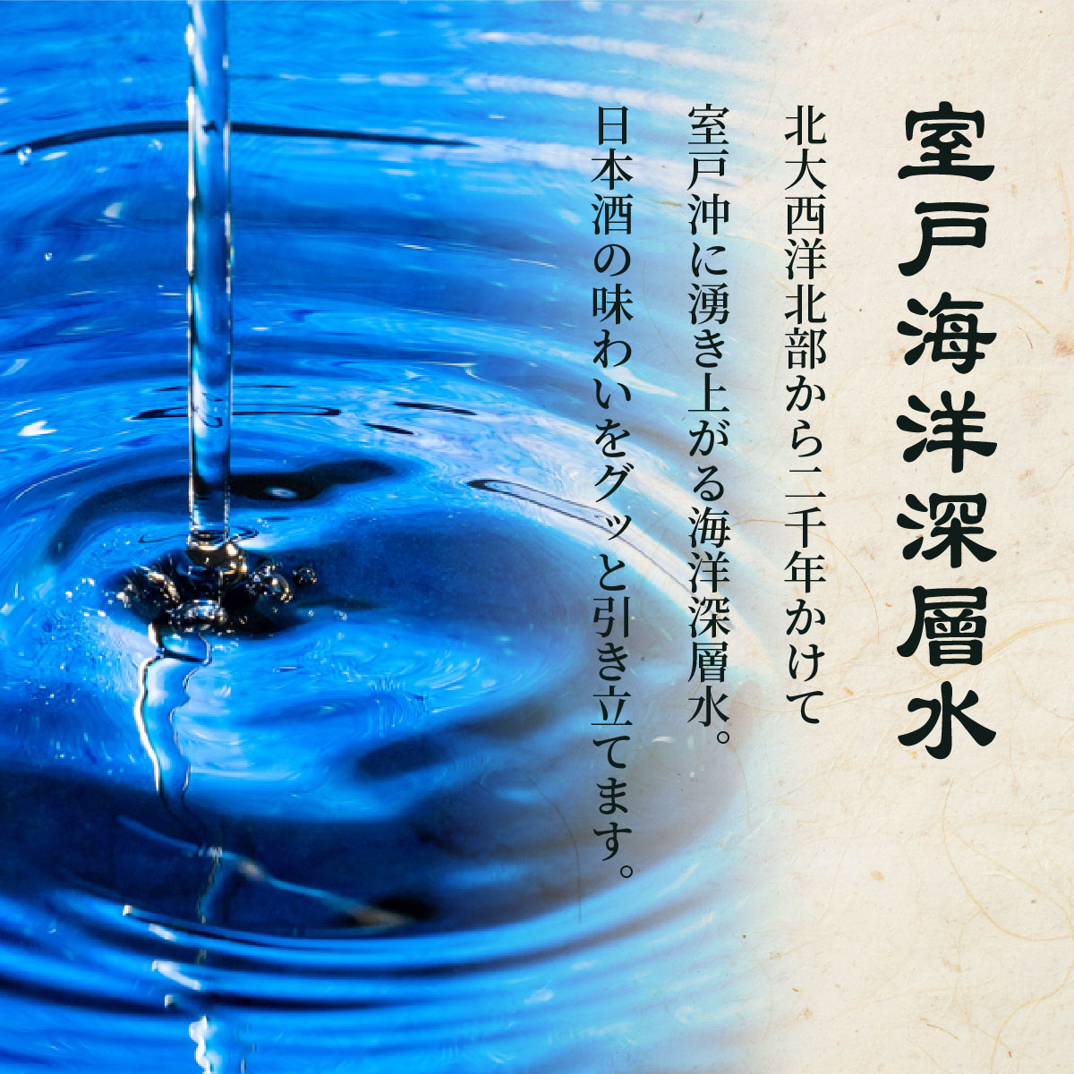 和紙の純米酒オリジナルセット７２０ｍｌ×２本（ギフト箱入り）