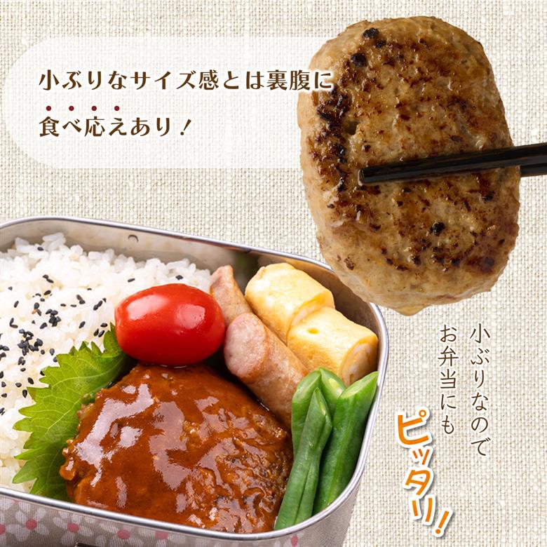 ハンバーガー屋の本気ミニハンバーグ750ｇ（50ｇ×15個） ＜ 国産 高知県産 牛肉 豚肉 ブランド肉 希少 土佐あかうし 四万十ポーク ＞