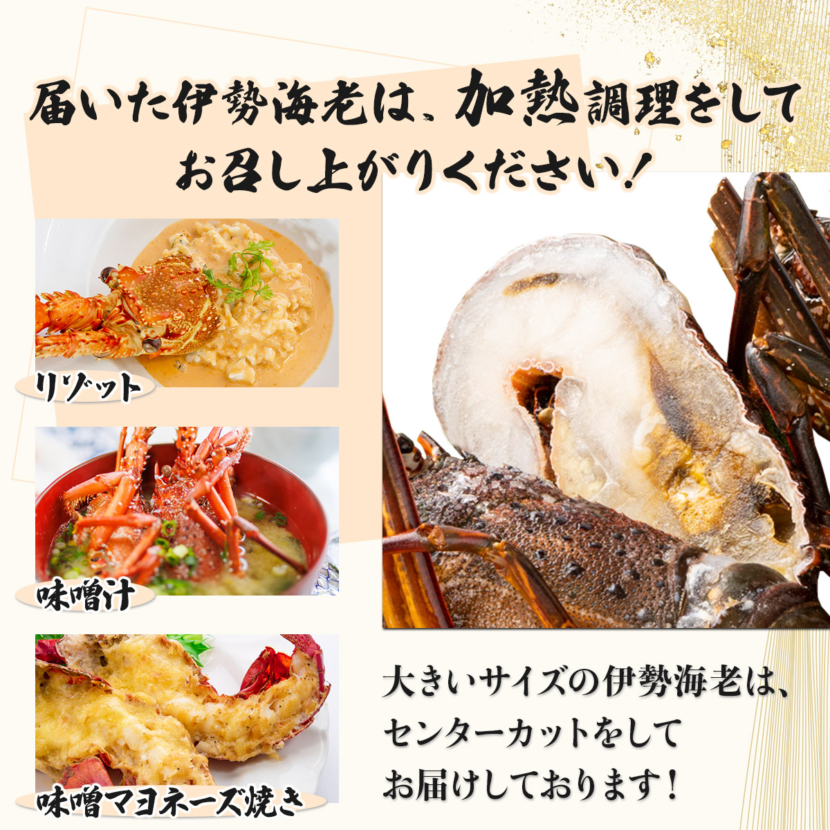 室戸産活冷伊勢海老【２～３尾】