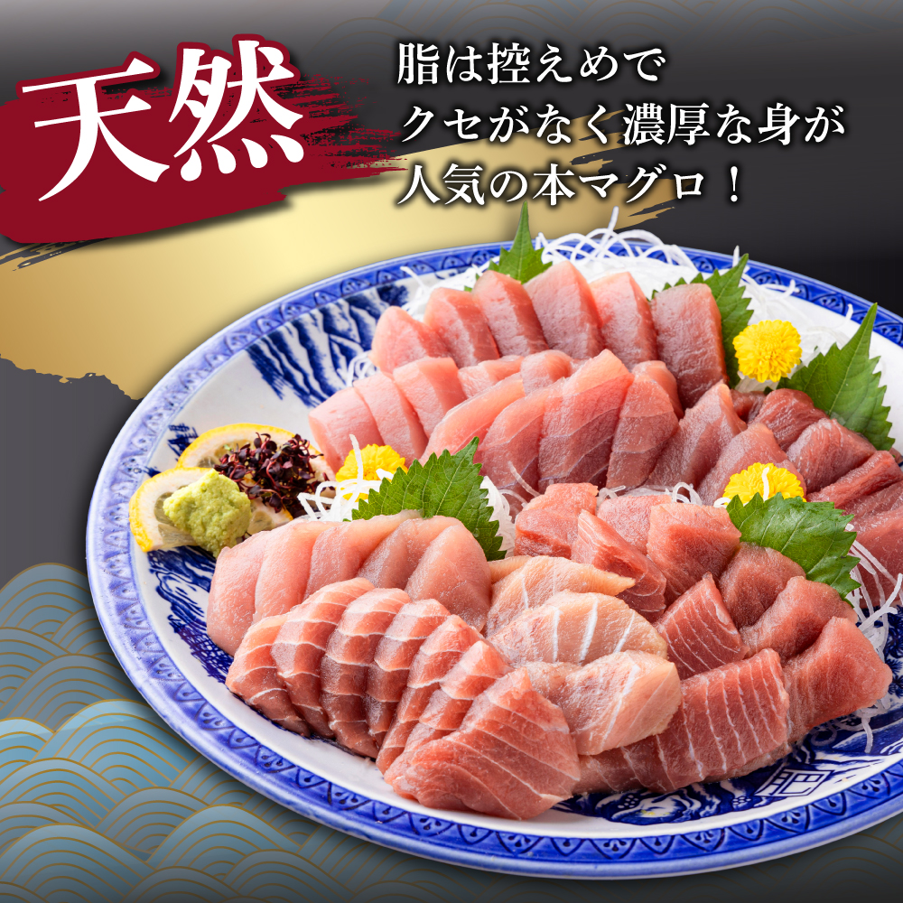 厳選！ 天然本まぐろ 中トロ ４００ｇ お刺身用 天然まぐろ 天然マグロ まぐろ 鮪 刺身 お刺身 サク 柵 高知 室戸 冷凍 瞬間冷凍 小分け 便利 父の日