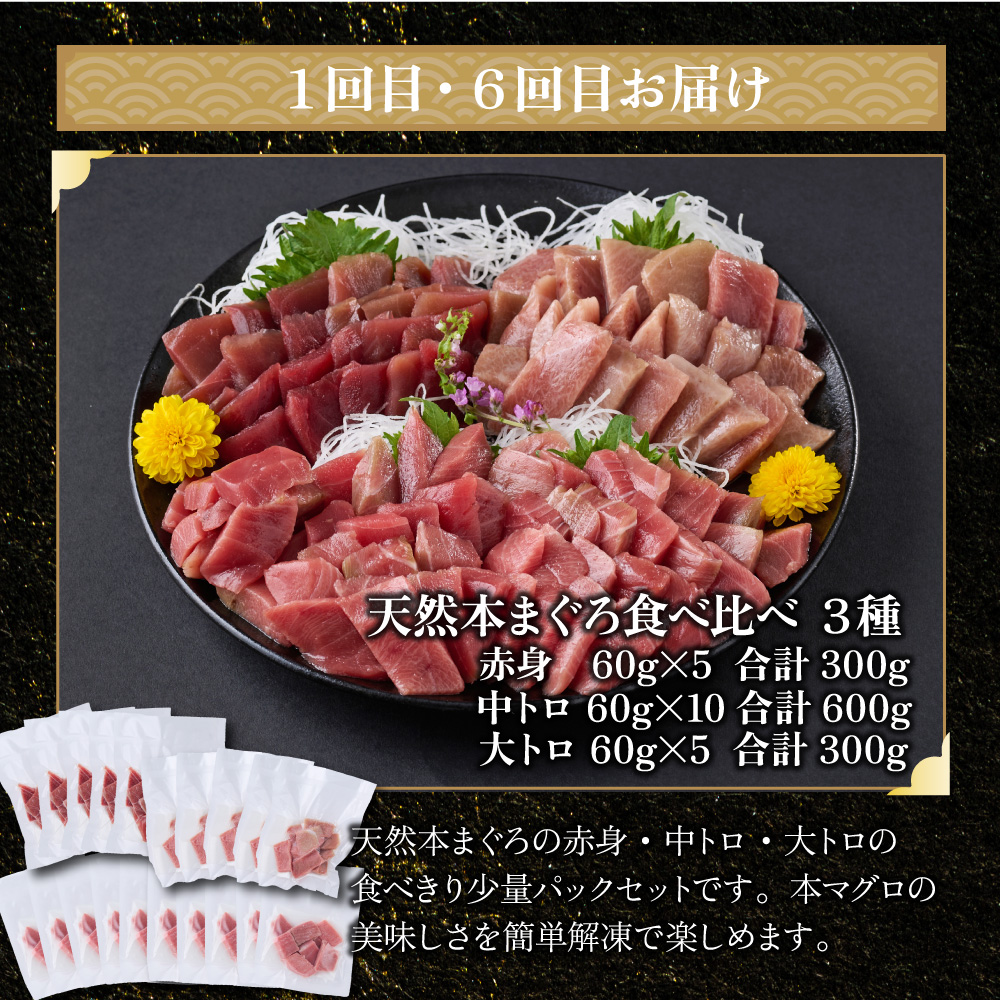 【 全10回定期便 】 厳選 高知の海鮮セット 本まぐろ かつおのたたき ネギトロ 魚介 海鮮 定期便 福袋 食べ比べ 贅沢