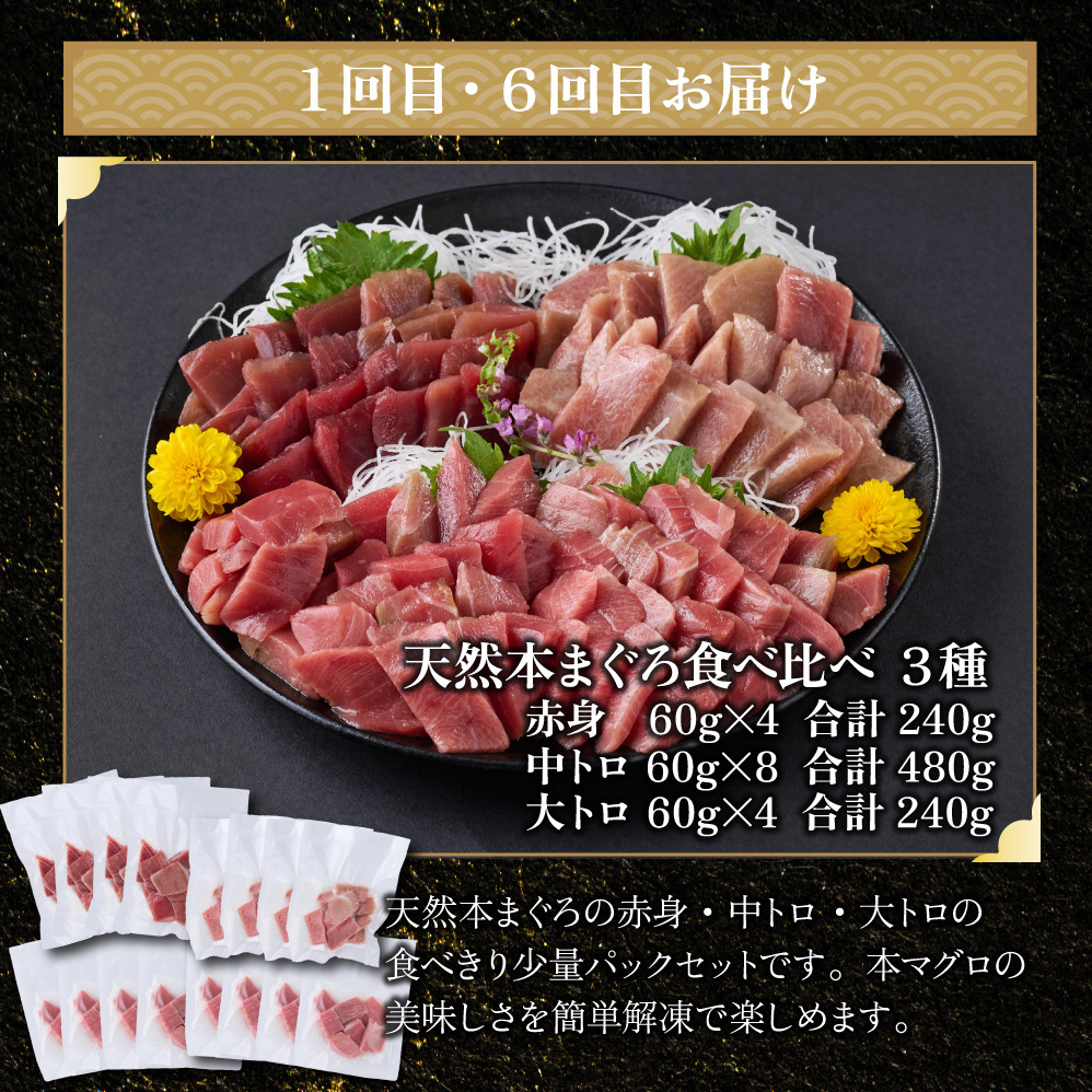 【 全10回定期便 】 厳選 高知の海鮮セット 本まぐろ かつおのたたき ネギトロ 魚介 魚 海鮮 福袋 定期便 詰め合わせ 食べ比べ 贅沢