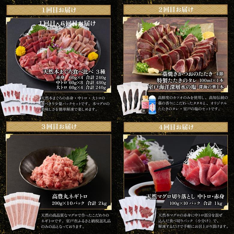 【 全6回定期便 】 厳選 高知の海鮮セット 本まぐろ かつおのたたき ネギトロ 魚 魚介 海鮮 福袋 定期便 詰め合わせ 食べ比べ