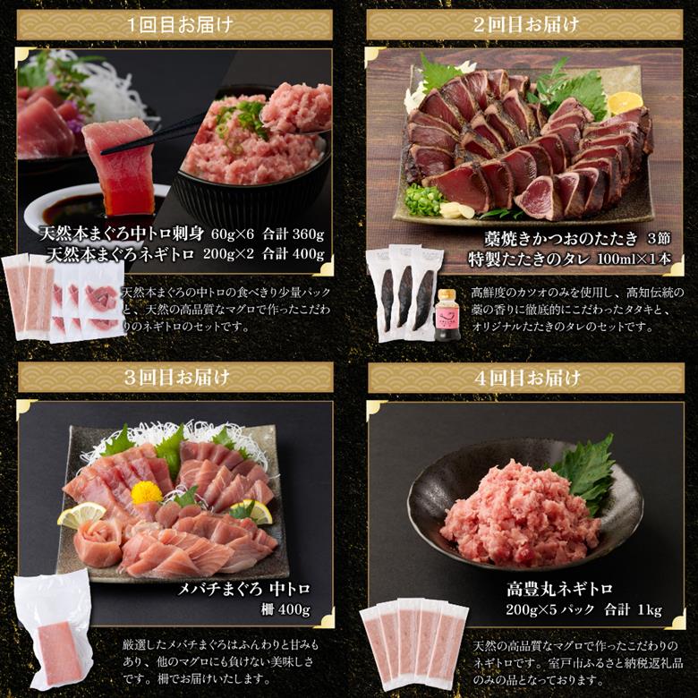 【 全6回定期便 】 厳選 高知の海鮮セット 本まぐろ かつおのたたき ネギトロ 海鮮 魚介 魚 福袋 定期便 詰め合わせ 食べ比べ 贅沢