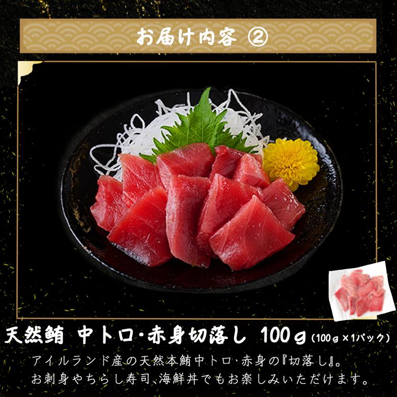 室戸の海の幸バラエティセット 5種詰め合わせ 33,000円コース まぐろ マグロ カツオ かつおたたき 伊勢海老 伊勢えび  ネギトロ 福袋 セット 正月 高知 室戸