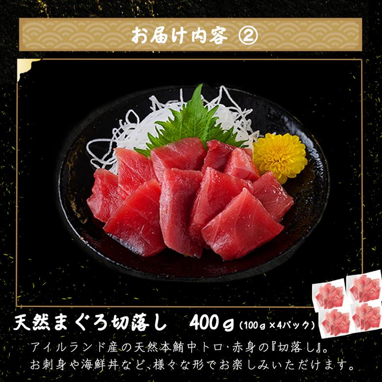 室戸の海の幸バラエティセット 5種詰め合わせ 100,000円コース まぐろ マグロ カツオ かつおたたき 伊勢海老 伊勢えび  ネギトロ 福袋 セット 正月 高知 室戸