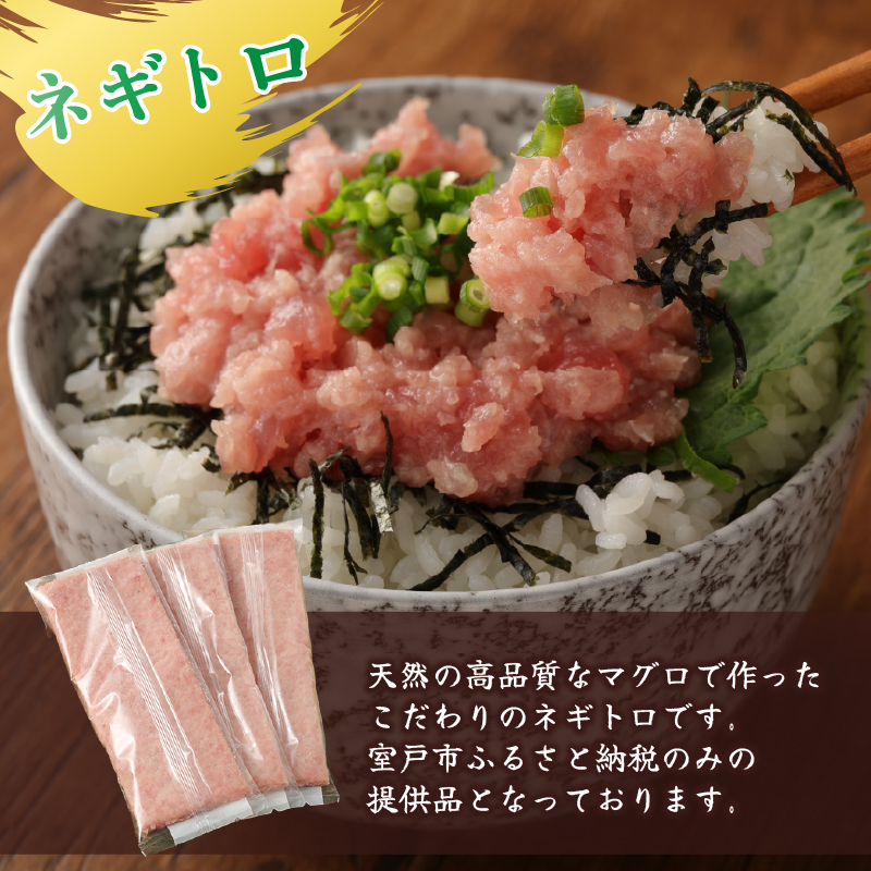 【 全2回定期便 】ネギトロ と カツオ の 定期便 海鮮 鮪 鰹 定期 セット まぐろ カツオのたたき ネギトロ 中トロ 刺身 海鮮 鰹 冷凍 魚 海産物 魚介類 高知県 まぐろたたき 鮪 藁焼き わら焼き タカシン定期便 海鮮定期便 頒布会