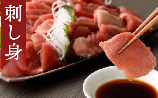 【 6回定期便 】 天然本マグロ 中トロ 赤身 切り落とし 400g 小分け(100g×4パック) 訳あり マグロ 刺身 カルパッチョ まぐろ丼 まぐろ漬け丼 魚 惣菜 海鮮丼 魚介類 食べきりサイズ 父の日 冷凍 不揃い クロマグロ 黒マグロ